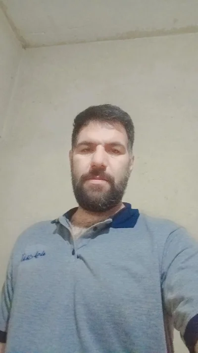 محمود اوشلی 