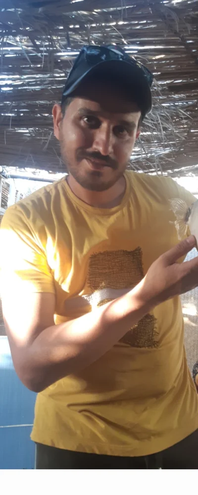 مصطفی بیابانگرد 