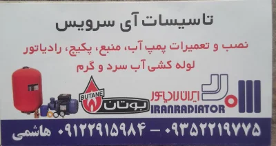 مجتبی هاشمی