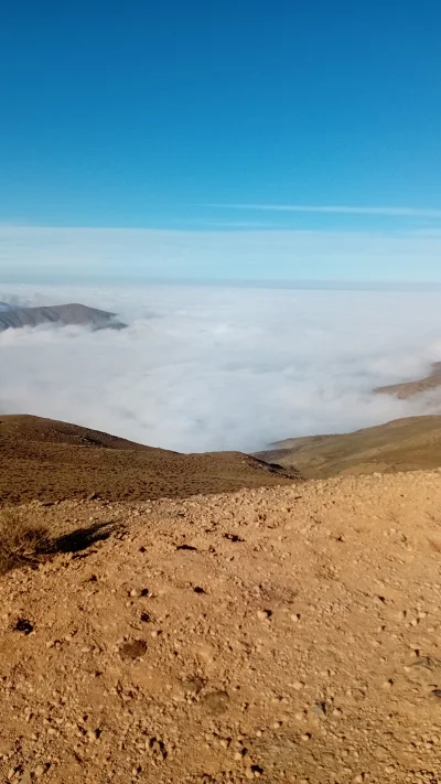 متخصص ۰۹۱۲۳۳۰۷۲۰۵