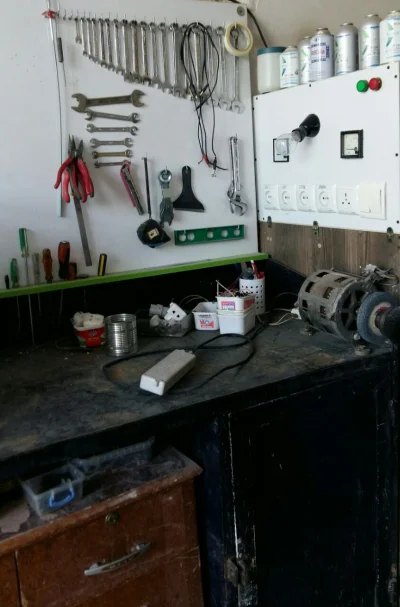 حمید گل وردی