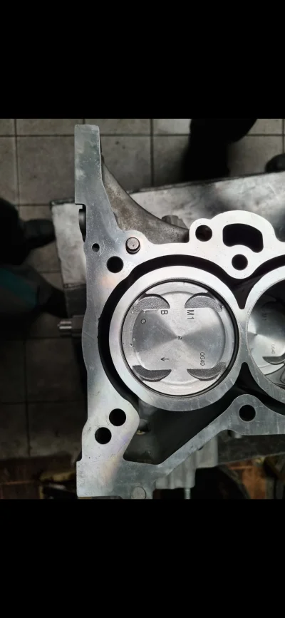 شایان عطایی فر