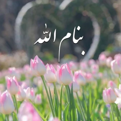 متخصص 9158805600