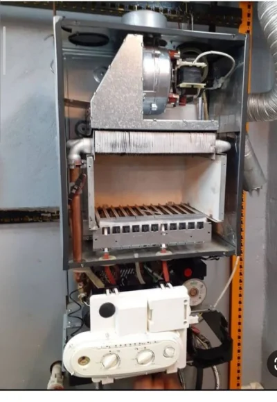 سعید خوشنگاه 