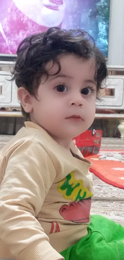 سجاد ذوالفقاری