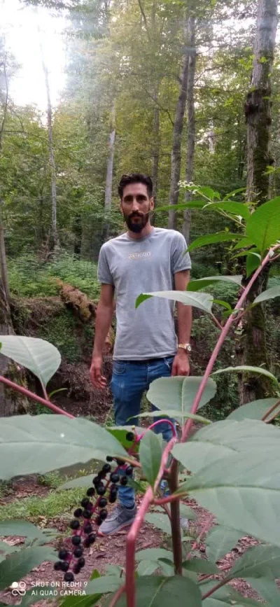 میلاد نصرتی راد