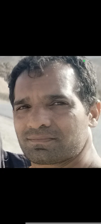   علیرضا شاملو 