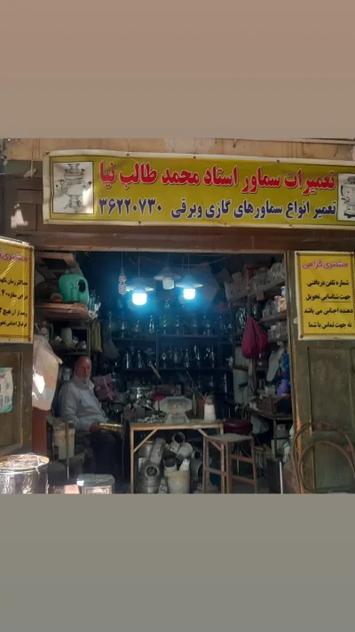 محمد طالب نیا