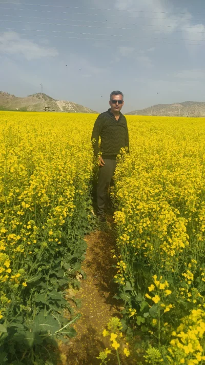 متخصص 9163976438مهدی کشوری 