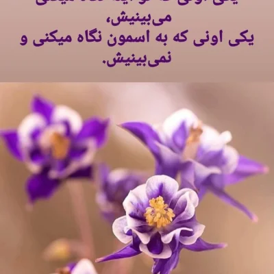 متخصص 9032433900