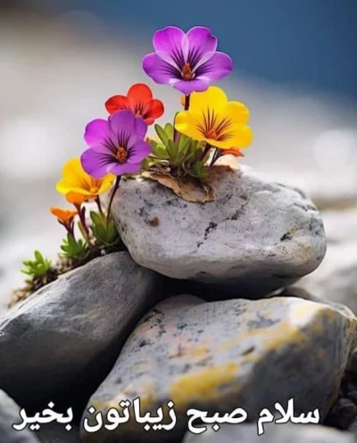 سهراب بنافی