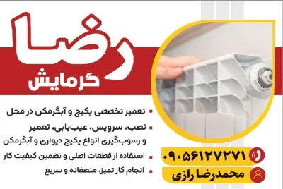 محمدرضا رازی