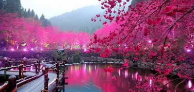 مهدی صلواتی