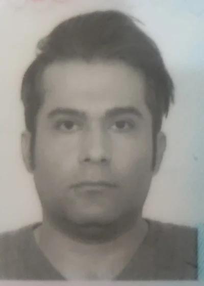 محمدرضا علوی